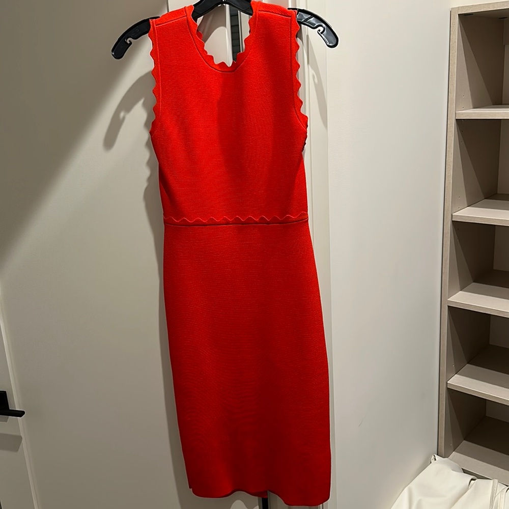 ALC scalloped edge dress